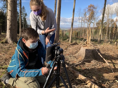 Filmworkshop im Wald - abgestorbene und abgeholzte Bäume
