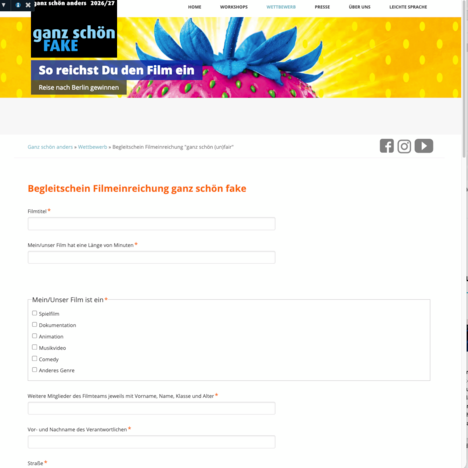 Bildschirmfoto des Online-Einreichformulars
