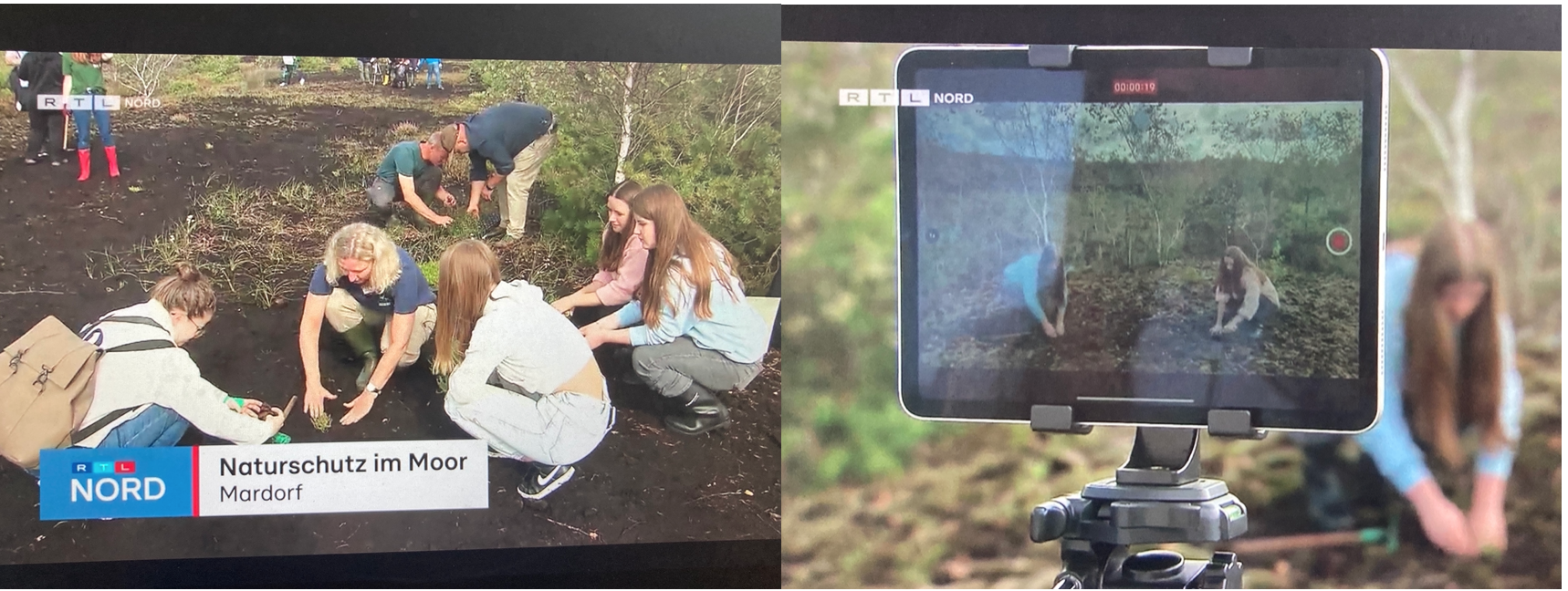 Eine Umweltpädagogin zeigt Schülerinnen, wie sie Moorheide pflanzen. Schülerin mit iPad filmt Pflanzaktion. sitzen auf dem Boden und